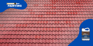 What are the advantages of using roof cleaner ?